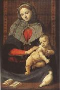 Piero di Cosimo The Virgin and Child with a Dove (mk05) Sweden oil painting reproduction